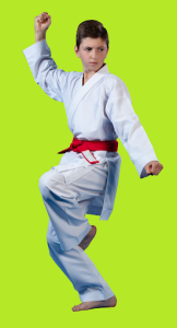 Shotokan Karate Works With Kids